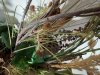 Item #457 — Dried Floral Arrangement in Paint Bucket photo 4 of 4