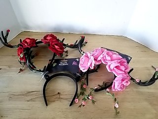 CRAFTS & MISC