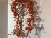Item #297 — Autumn Berry Wreath, 5 ft photo 1 of 4