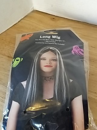 Item #157 — New Long Silver Halloween Wig photo 1 of 2