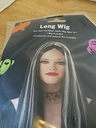 Item #157 — New Long Silver Halloween Wig photo 2 of 2