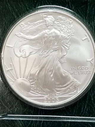 Item #1 — 2005 Silver American Eagle Coin photo 2 of 3