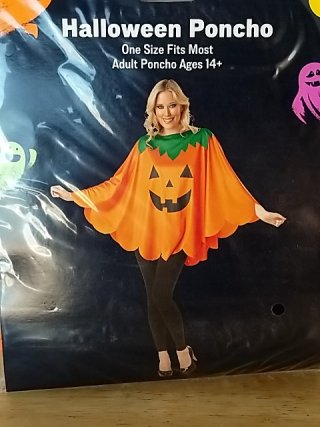 Item #262 — New Halloween Pumpkin Poncho Costume