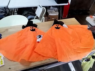 Item #211 — New Halloween Pumpkin Capes 20 in photo 1 of 3