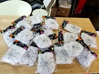 Item #205 — New Halloween Spiderweb Decorations photo 1 of 3