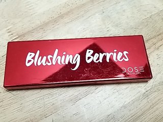 Item #157 — Blushing Berries Red Makeup Palette photo 1 of 3