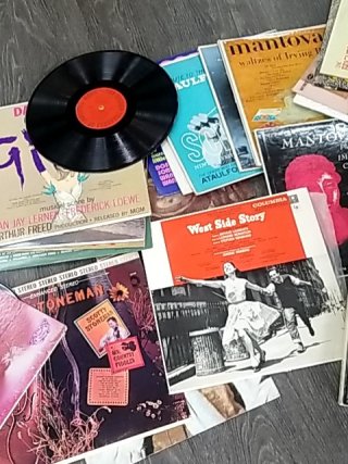 Item #404 — VINTAGE Vinyl Record Collection photo 3 of 5