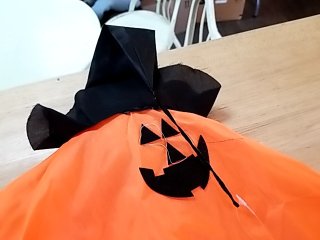 Item #211 — New Halloween Pumpkin Capes 20 in photo 3 of 3