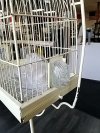 Item #7 — Standing Birdcage 64 inch tall photo 3 of 5