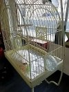 Item #7 — Standing Birdcage 64 inch tall photo 4 of 5