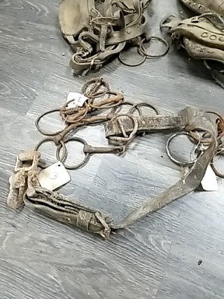 Item #104 — VINTAGE  Horse Tack Collection photo 2 of 8